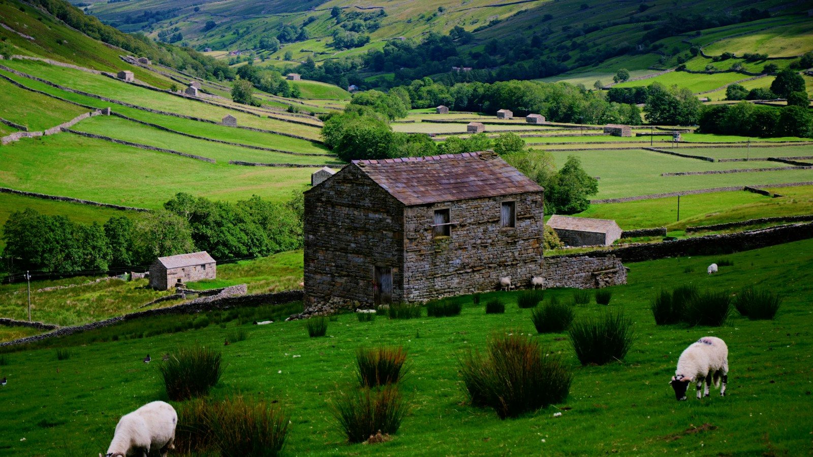 Photo by Ian Cylkowski