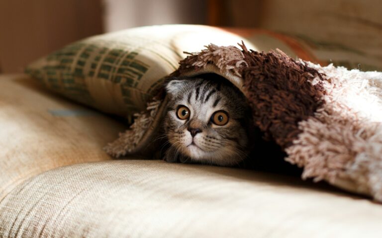 Photo by Mikhail Vasilyev