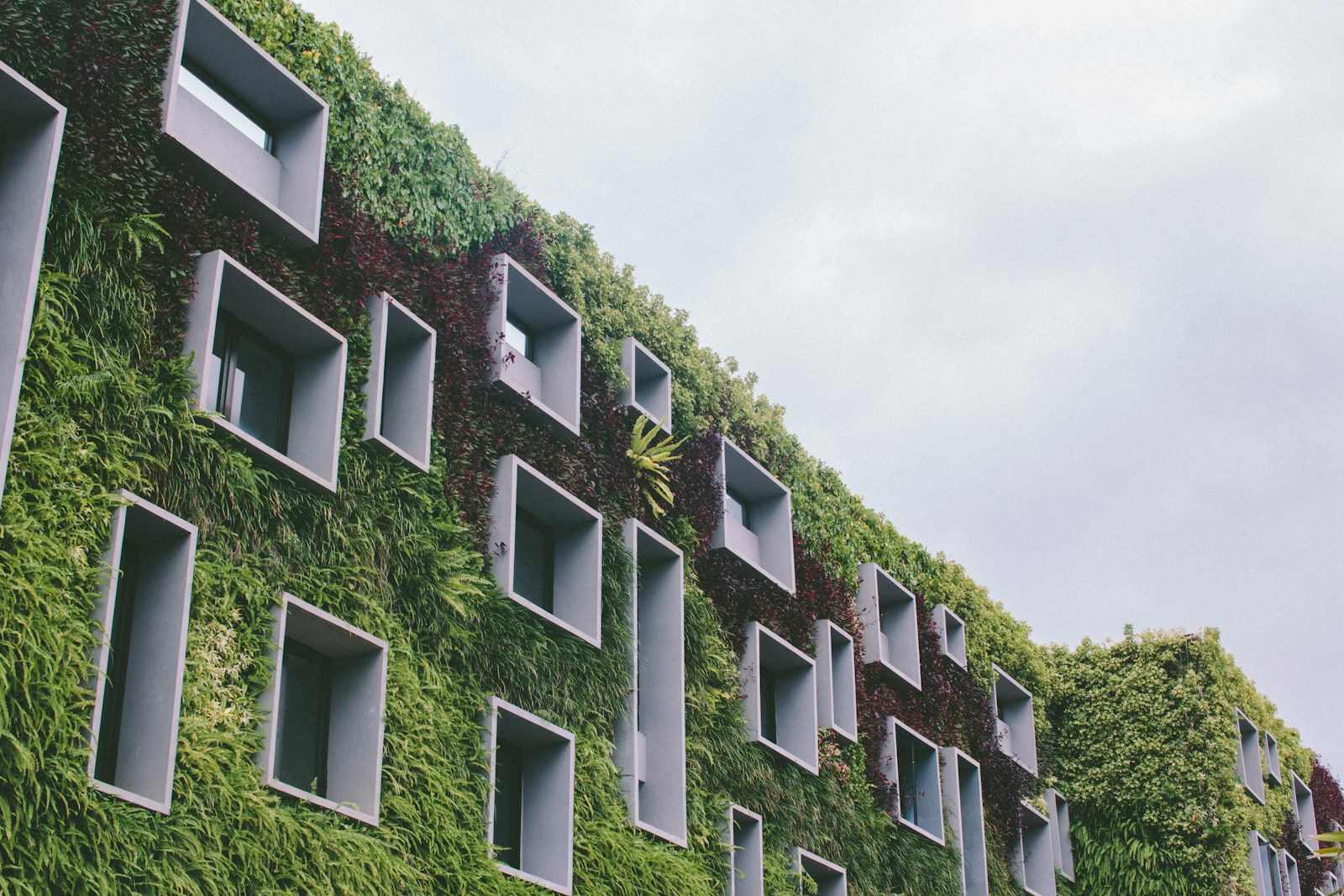 Photo by Darya Jum - Unsplash