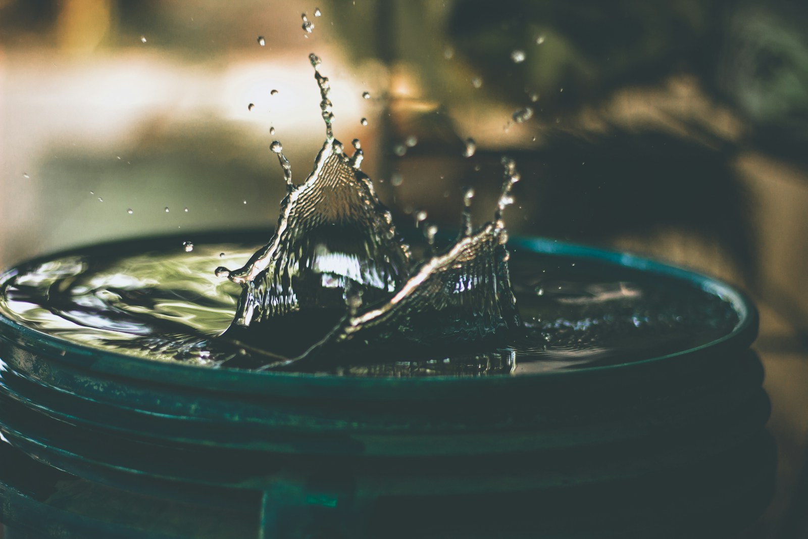 Photo by Amritanshu Sikdar - Unsplash