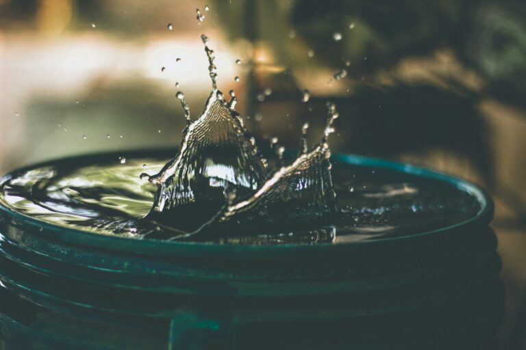 Photo by Amritanshu Sikdar - Unsplash