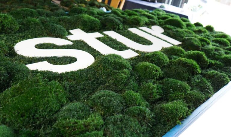 Moss Pure Installs Living Moss Wall and Air Filter at Stur Drinks HQ