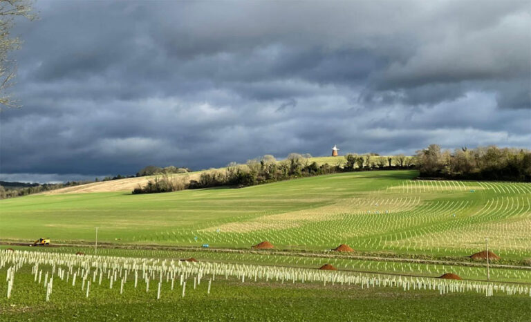 Halnaker Hill Farm, near Chichester, West Sussex