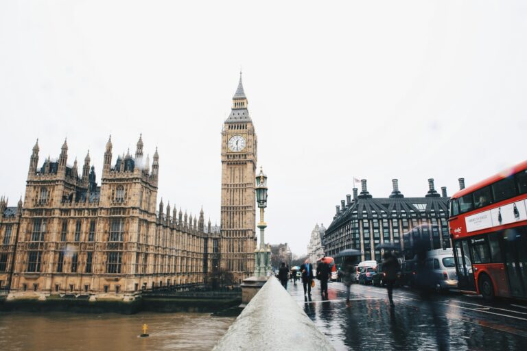Photo by Heidi Fin - Unsplash