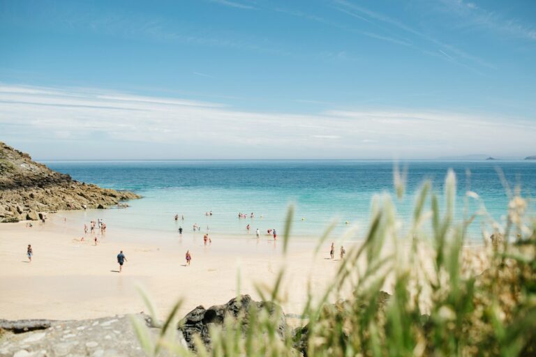 Photo by angela pham - Unsplash