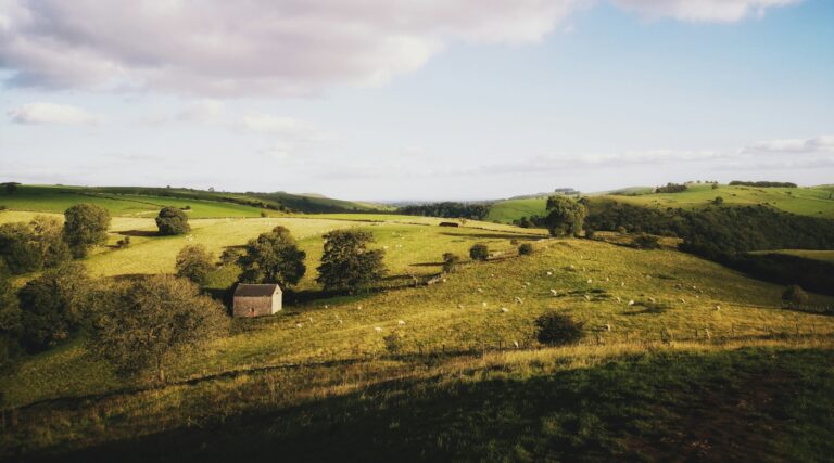 Photo by Jacob Amson - Unsplash