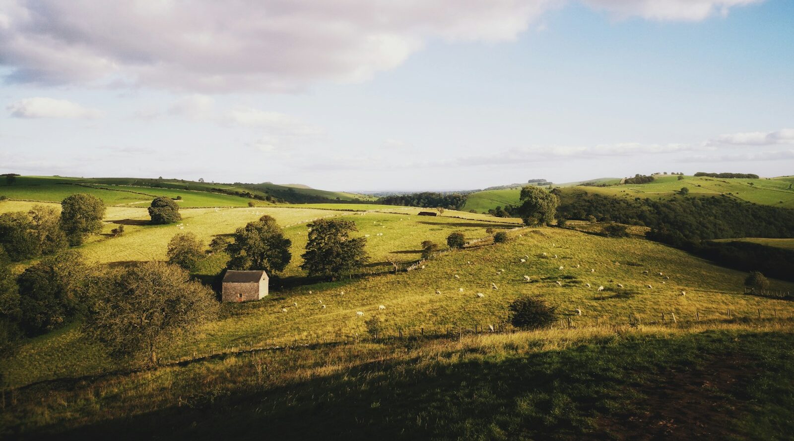 Photo by Jacob Amson - Unsplash