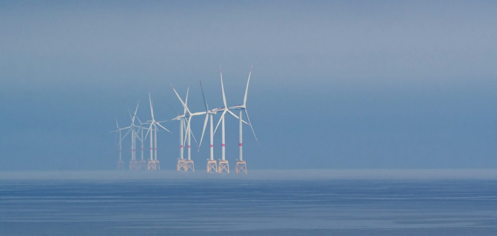 Photo by Flora Orosz - Unsplash