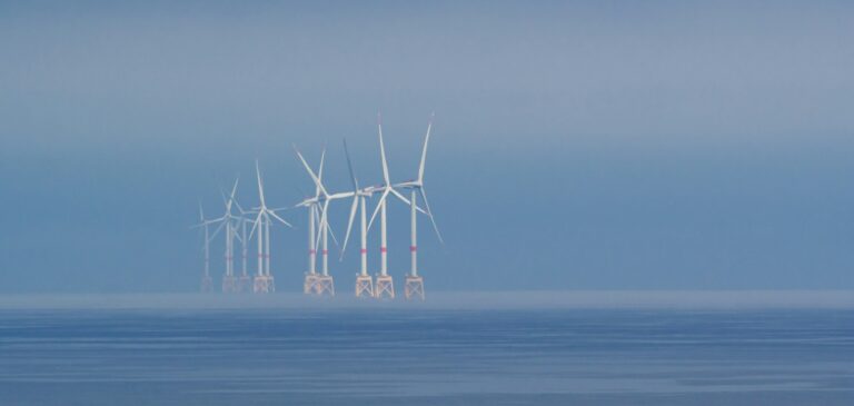 Photo by Flora Orosz - Unsplash