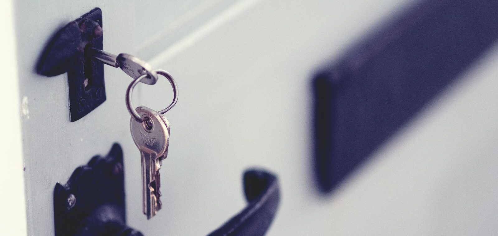 Photo by Jaye Haych - Unsplash