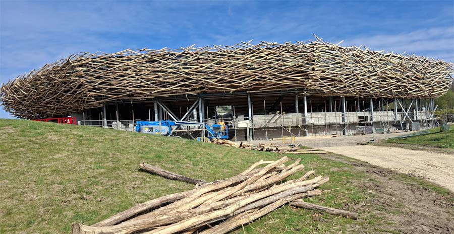 ix miles of timber will surround The Lost Feather Arena