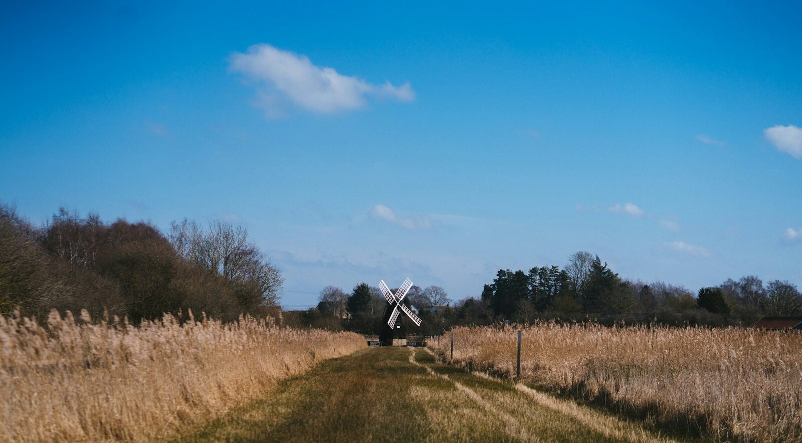 Photo by Phil Hearing - Unsplash