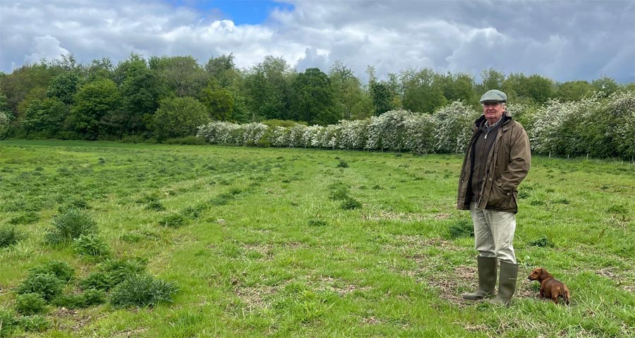 Badger Bank BNG field with Richard Graham