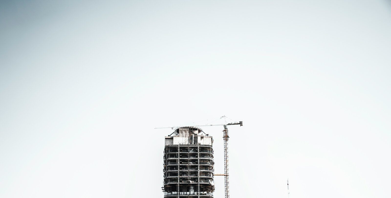 Photo by omid roshan - Unsplash