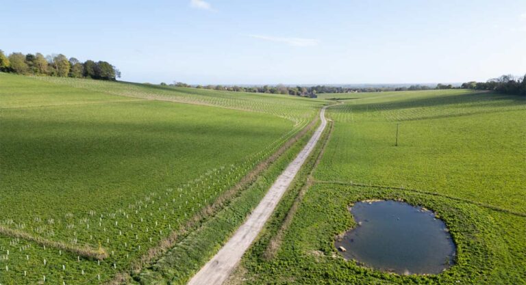 Halnaker Hill Natural Capital partners with Earthly to offer Voluntary Biodiversity Credits for sale