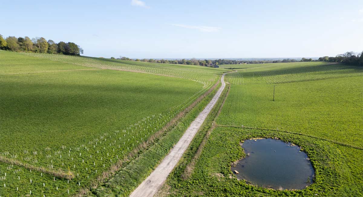 Halnaker Hill Natural Capital partners with Earthly to offer Voluntary Biodiversity Credits for sale