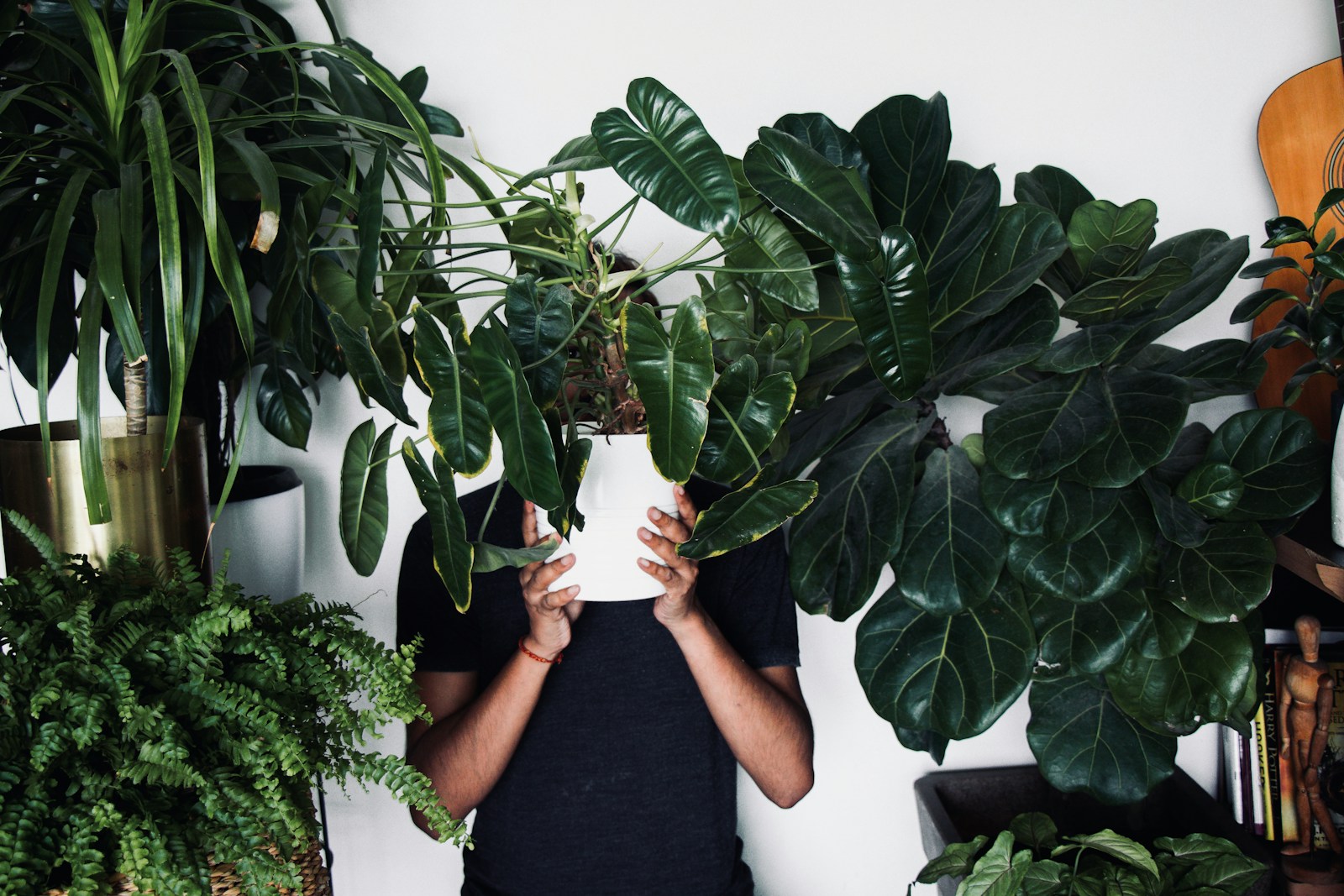 Photo by Sanni Sahil - Unsplash