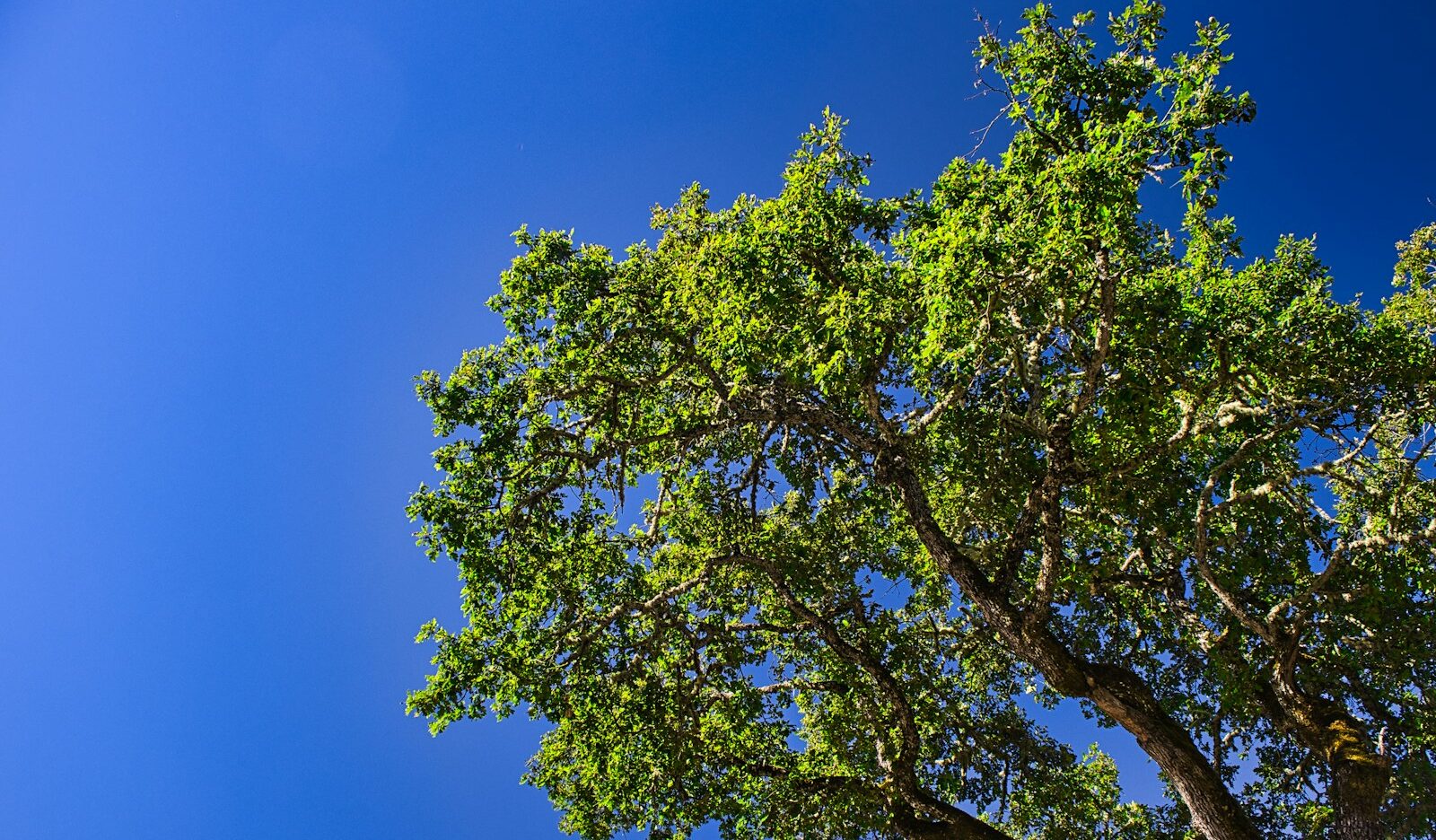 Photo by David J. Boozer - Unsplash