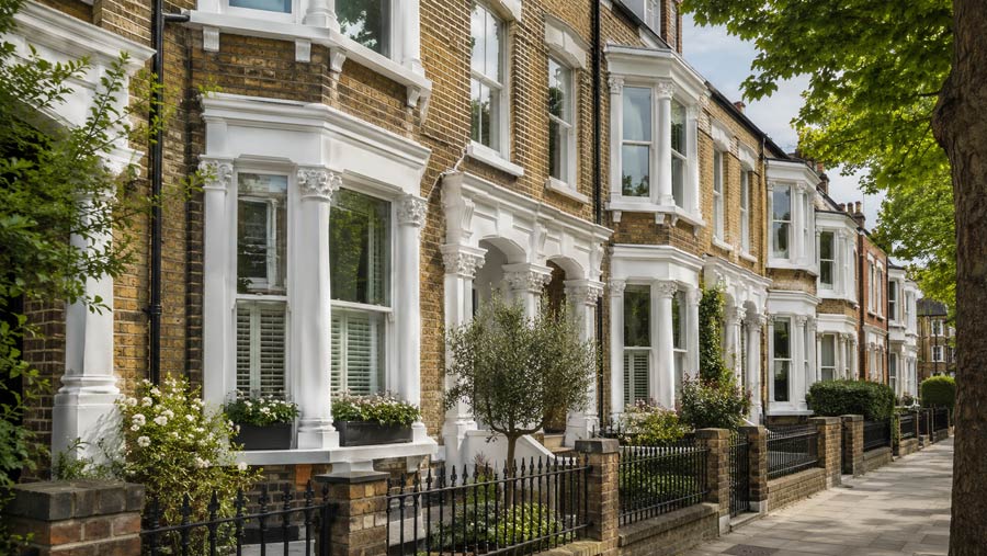 Sash Windows
