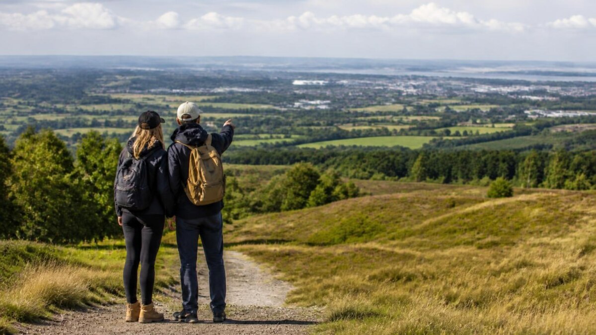 Generic image that looks like the Flintshire countryside,