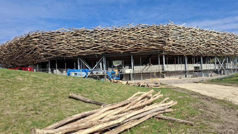 ix miles of timber will surround The Lost Feather Arena