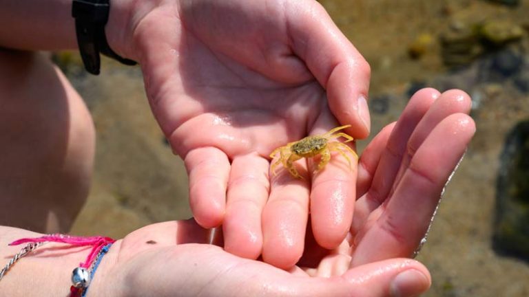 The-Rock-Pool-Project-(5)