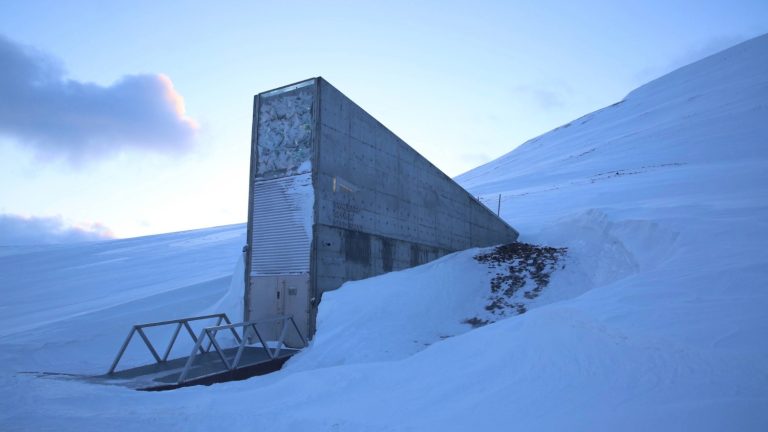 Photo Credit: Crop Trust