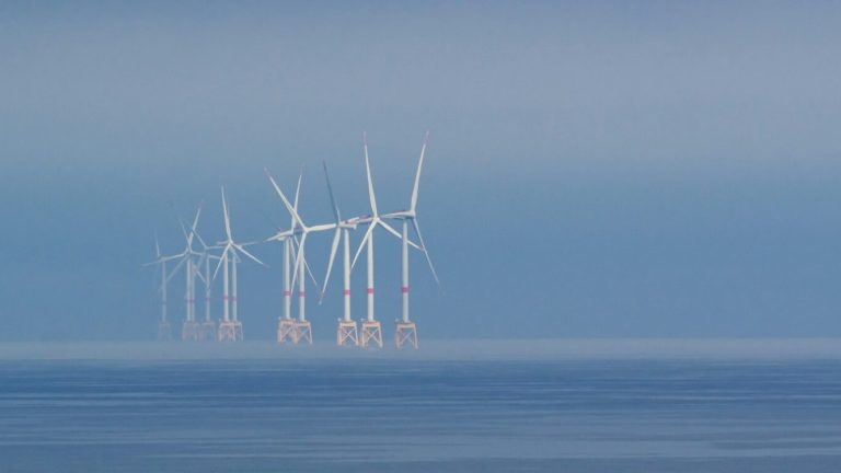 Photo by Flora Orosz - Unsplash