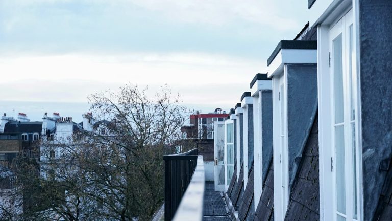 Photo by David Tato - Unsplash